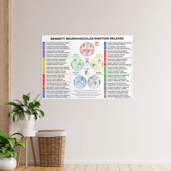 Bennett Neurovascular Emotion Release Poster (Five Elements with Emotions) - 19x27