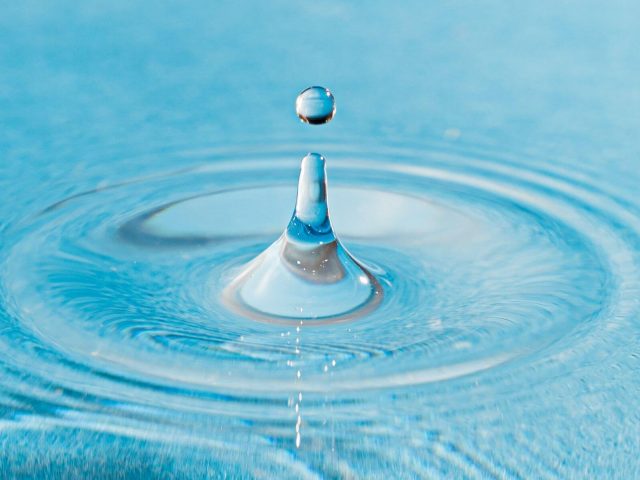 Winter Wellness & The Water Element: A TCM Guide to the Bladder and Kidney Meridians