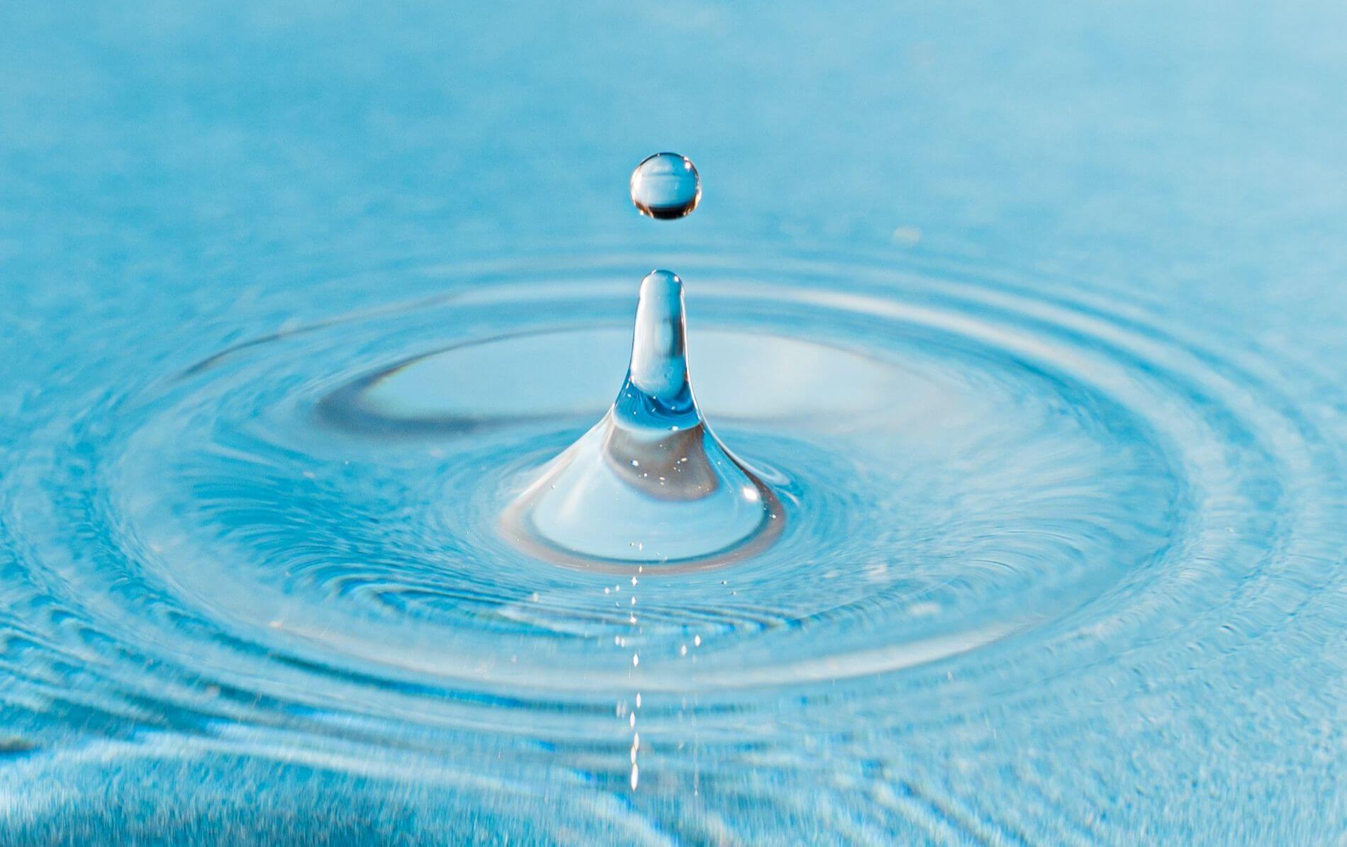 Winter Wellness & The Water Element: A TCM Guide to the Bladder and Kidney Meridians