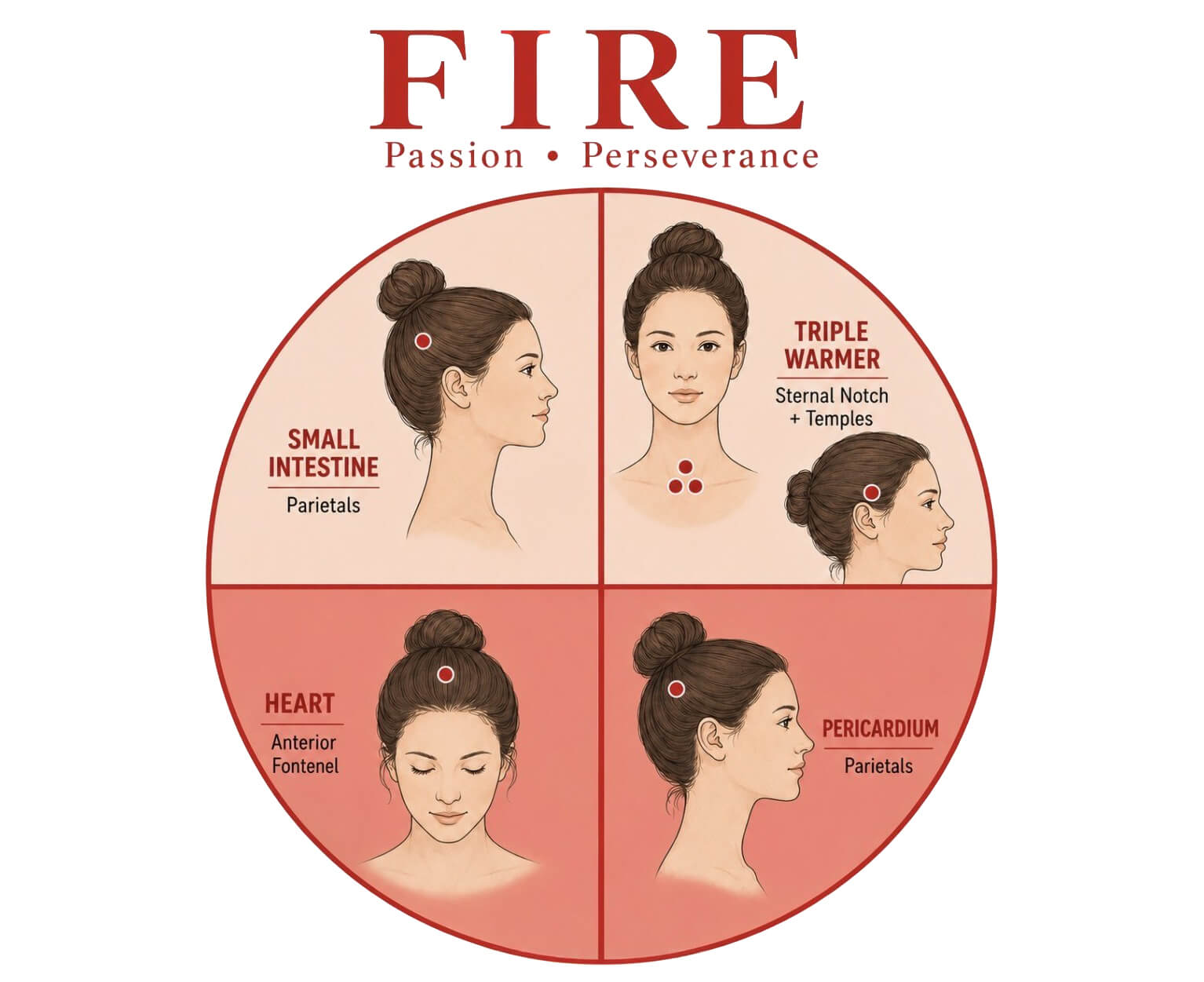 Balancing Your Fire Energy With Neurovascular Reflexes